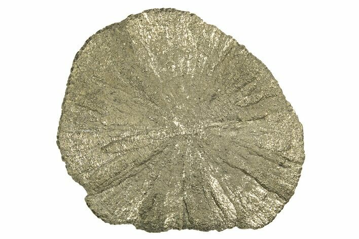 Radiant Pyrite Sun - Sparta, Illinois #342553